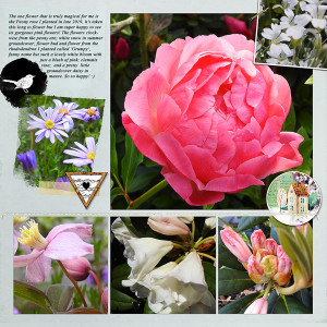 SPRING 2021 - HAPPY PLACE (Right side page)