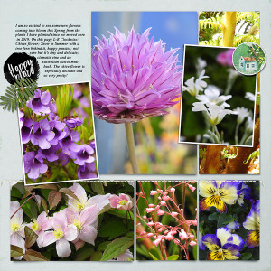 SPRING 2021 - HAPPY PLACE (Left hand page)
