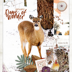 Lynn-Grieveson_2021-11_November_SOSN_1110_Messy-Pockets6_Leif_Happy-Home_web