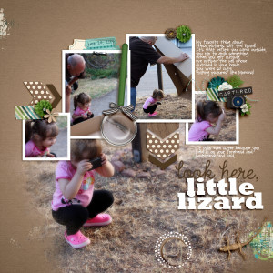 Little Lizard