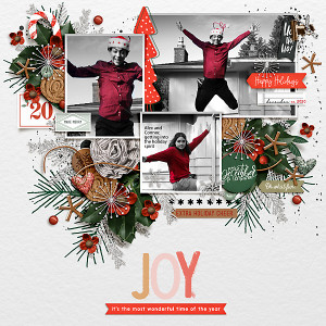 2020-Christmas-Joy