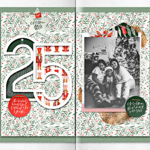 25