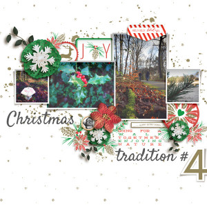 Chrismas Tradition #4: Going For A Walk