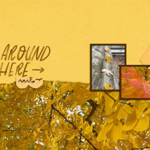 11temp-aroundhere