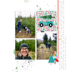 Getting our Christmas Tree