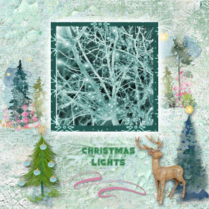 Christmas Lights