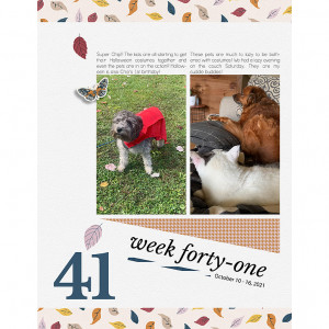 Week-41L