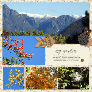 211102_garden