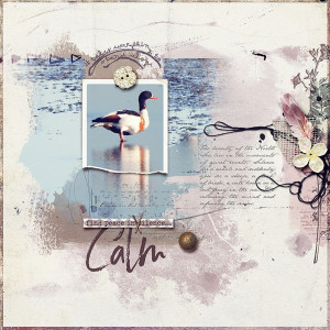 calm