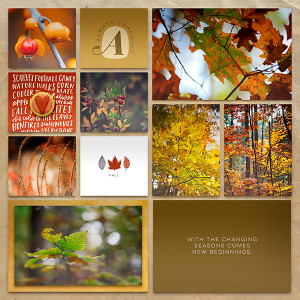 Fall Leaves