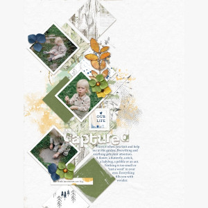 Our life captured