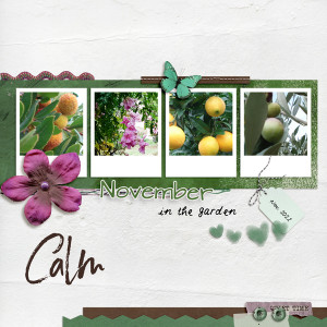 November in the garden