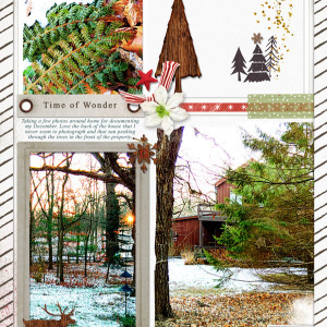 Lynn-Grieveson_2021-11_November_SOSN_1124_Starry-Woods_web