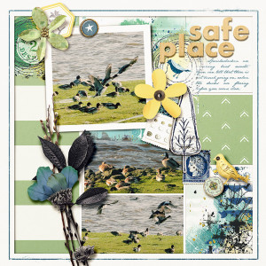 safe place