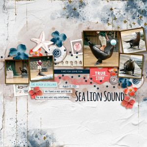 20130813 Sea Lion Sound
