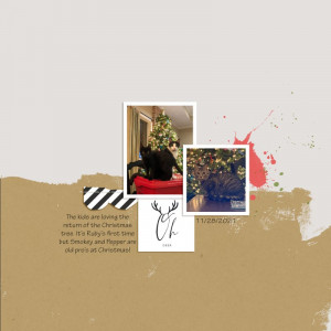 TemplateChall_Nov2021