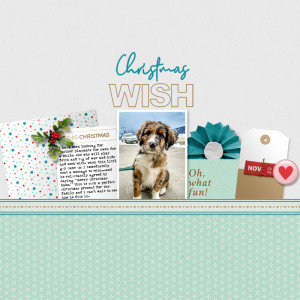 Christmas Wish