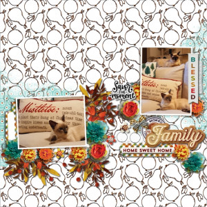 Fdd_fj_26oct21_Kate