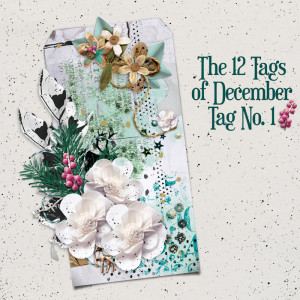 The 12 Tags of December, Tag #1