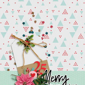 TLP_DYD_Dec21_cover