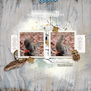 211127_squirrel