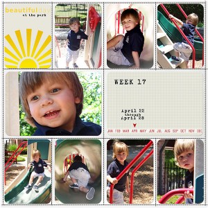 PROJECT LIFE - week 17