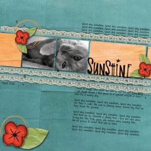 Sunshine