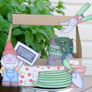 Garden Box {hybrid}