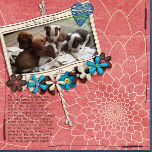 Pup Names?