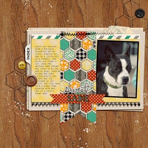 celeste-smith-sweet-sadie