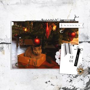 211201_cat Box