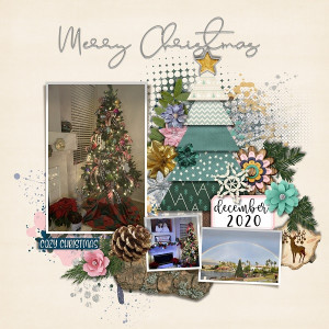 MERRY CHRISTMAS 2020