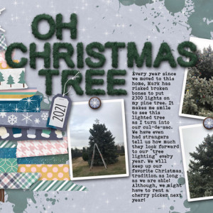 Christmas Tree Tradition