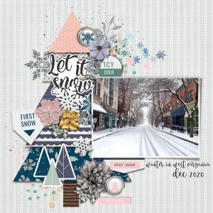 WINTER IN WV 2020