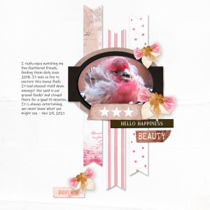 Scrapping-with-Liz_2021-12_December-MIS_web