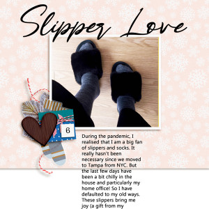 DYD_Dec21_D6_Slipper Love