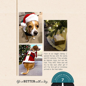 Dec 7 - Doggie Don't