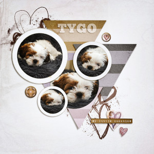 Tygo