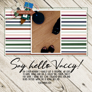 DYD_Dec21_D9_Hello Vaccy