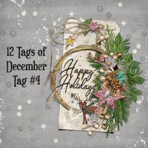 12 Tags of December - Tag #4
