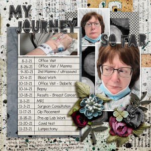 SOSN_12-15_LBW_FDD_My Journey So Far