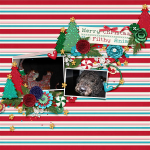 Merry Christmas from the Filthy Animal