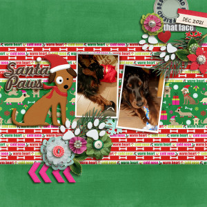 Santa Paws