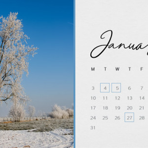 21-12_Soco_calendar-2022_Jan