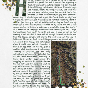 12journaling-walkingmileage
