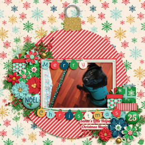 Santa's little Helper