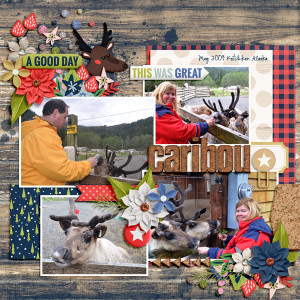caribou