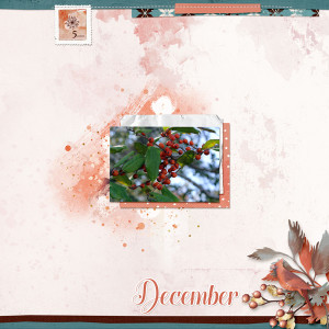 December Holly
