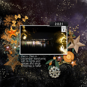 211208_Parco Ciani
