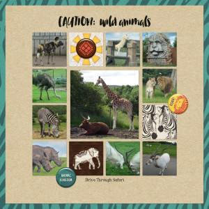 Drive Through Safari